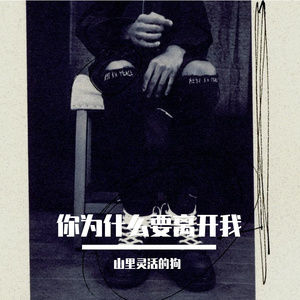 你为什么要离开我