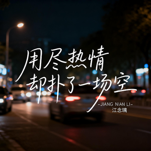 用尽热情却扑了一场空（伤感版）