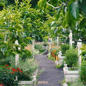 适合办公事务经典的音乐