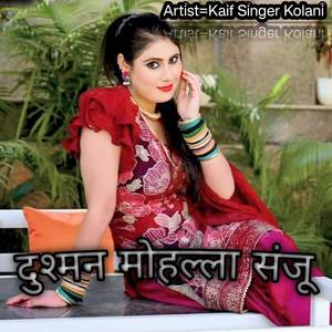 दुश्मन मोहल्ला संजू