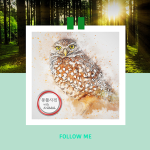 팻의 식욕이 돌아오는 동물친구들의 식사시간