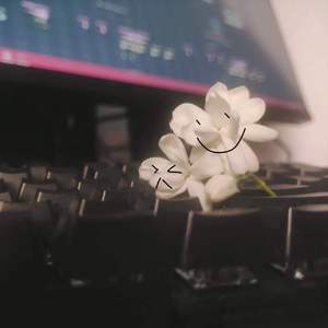 茉莉花（电音版）