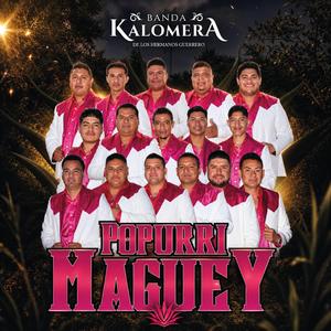 Popurri Maguey