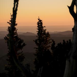 Last Warmth on Stone