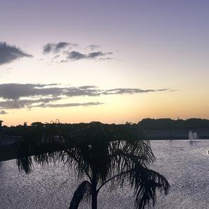 Can You Stay For A While (feat. Lxst Boy)