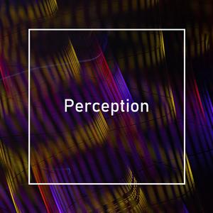Perception