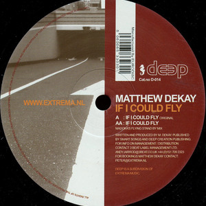If I Could Fly (Original Mix)