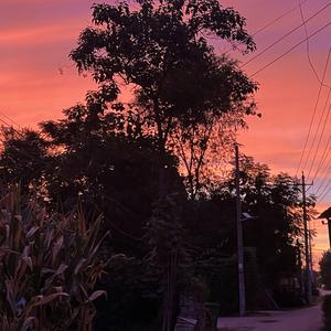 Don't Push Me (BGM版）