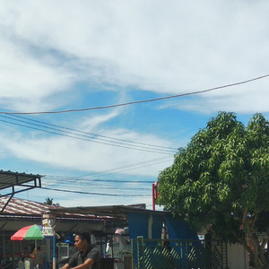Ini Pilu