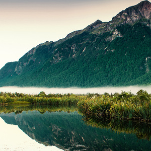 放大缩小运镜舞