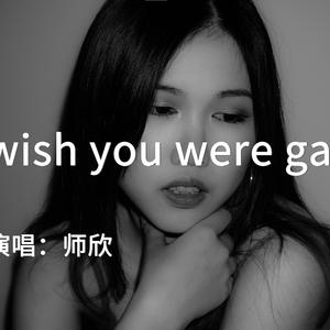Wish You Were Gay