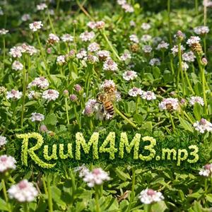 RuuM4M3.mp3