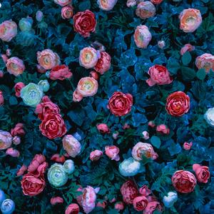 遇(Prod by NeonMusic)