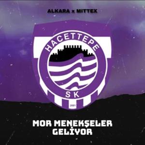 Mor Menekşeler Geliyor (Instrumental)