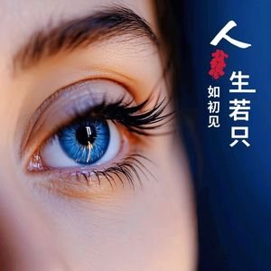 人生若只如初见