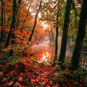 Август 44го..