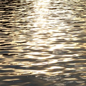 亲爱的你啊（口琴）