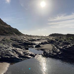 Alien Rain (feat. Austin Jenkins, Kevin Gearhardt & Joshua Jones) (Radio Edit)