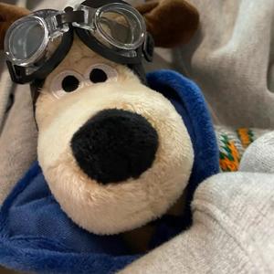 劈你的雷正在路上