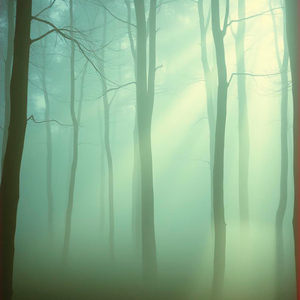 Река и мягкая музыка для йоги