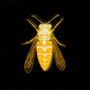 Stramonium (Original Mix)