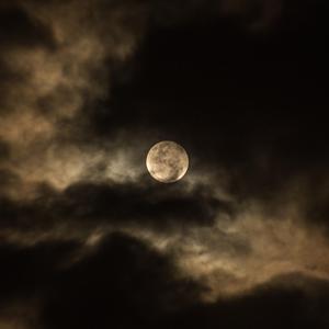 【Free】Moon night (Trap Beat)