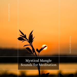 Relaxing Under Daylight