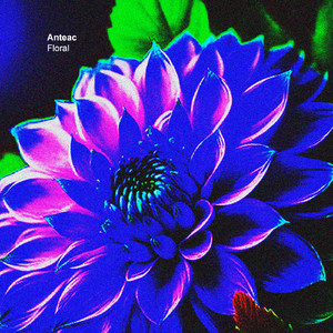 Portable Bluetooth Speaker