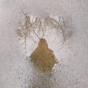 过期的春天（Demo）