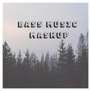 Bass Music Boom