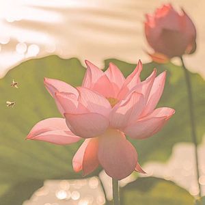 与心事共守的无眠夜