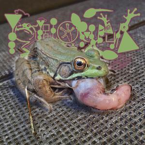 Secretoe Bilaterality In Different Dyad Serine Protease Inhibitor/Legurgitation Rescinding