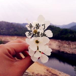 辛苦了（Cover 陈晓东）