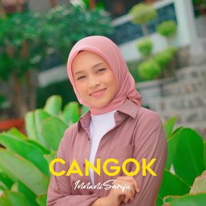 Cangok