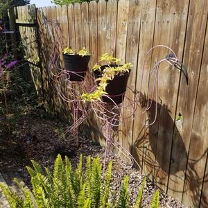 Noctiphany (Demo Version)