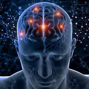 Rhythm Of The Living Thing