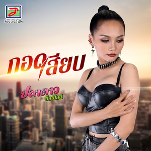 กอดเสียบ