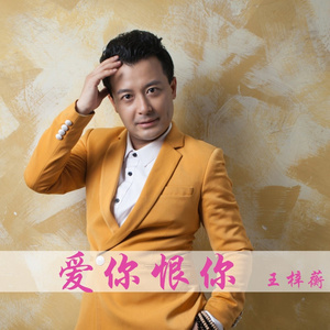 爱你恨你 (DJ版)