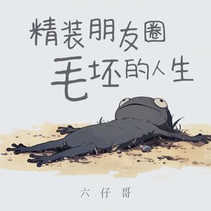 精装朋友圈 毛坯的人生