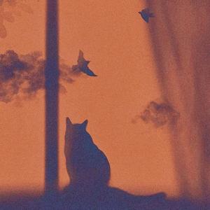 我要的飞翔（温柔版）