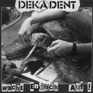 Hass / Schau Dich Mal Um