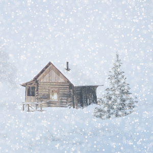 12월의 마지막 밤