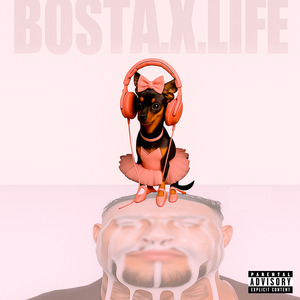 Bosta X Life