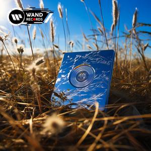 The Motto (feat. Nefertari Vivian)