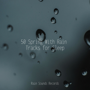 Echoes of Soggy Streets