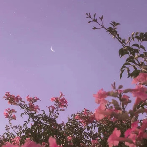 思念症demo（prod.by jeston）