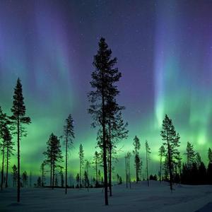 My own World（Deletion）