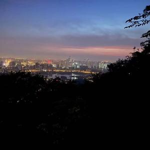 失物被招领P.Lion_狮子