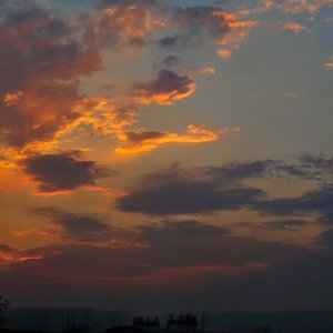 同桌的你（青柠追光翻唱版）