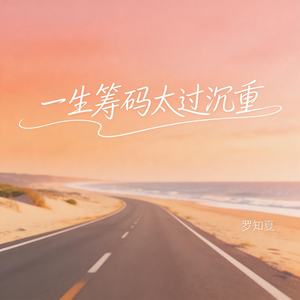 一生筹码太过沉重